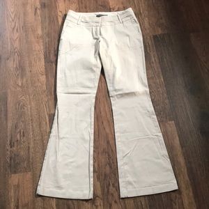 The Limited Dress Pants